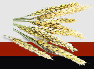 122cc太阳集成游戏(中国)有限公司官网