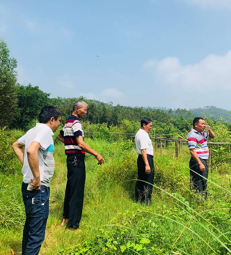 122cc太阳集成游戏(中国)有限公司官网