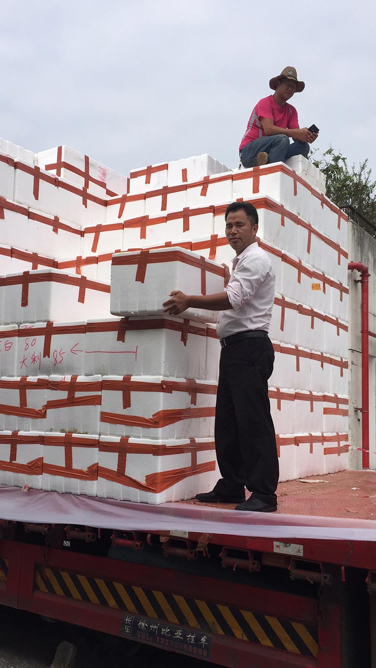 122cc太阳集成游戏(中国)有限公司官网