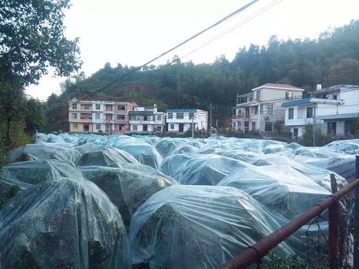 122cc太阳集成游戏(中国)有限公司官网