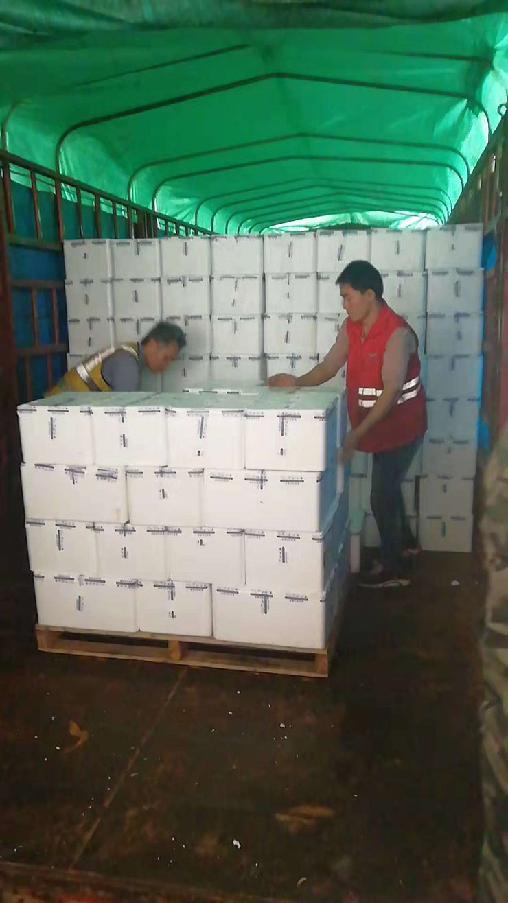 122cc太阳集成游戏(中国)有限公司官网