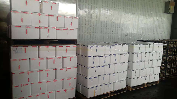 122cc太阳集成游戏(中国)有限公司官网