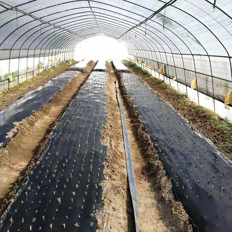 122cc太阳集成游戏(中国)有限公司官网