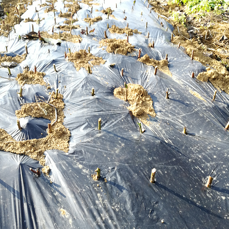 122cc太阳集成游戏(中国)有限公司官网