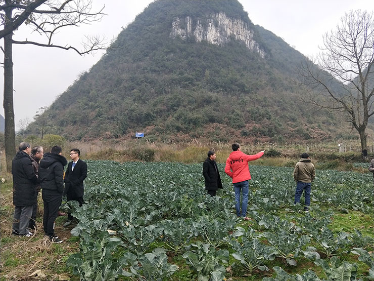 122cc太阳集成游戏(中国)有限公司官网