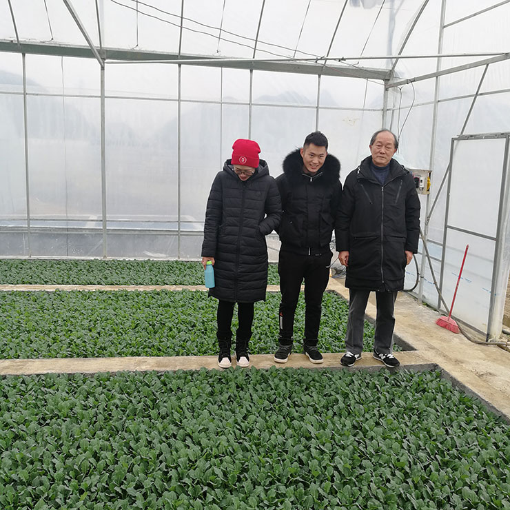 122cc太阳集成游戏(中国)有限公司官网