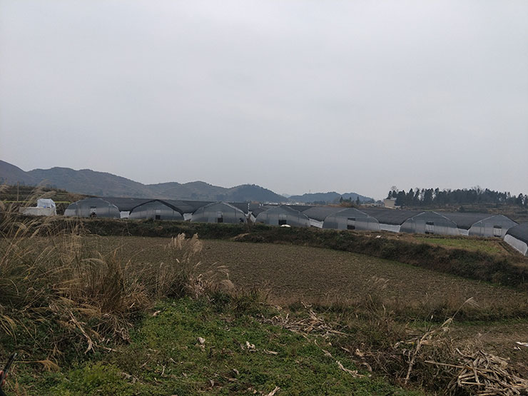 122cc太阳集成游戏(中国)有限公司官网