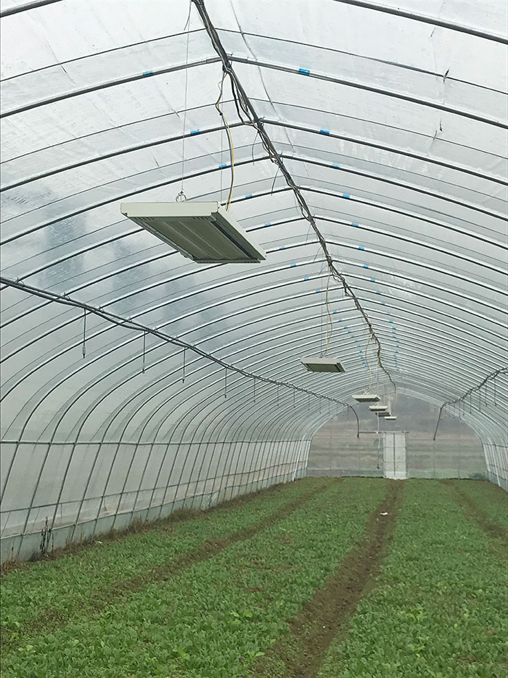 122cc太阳集成游戏(中国)有限公司官网