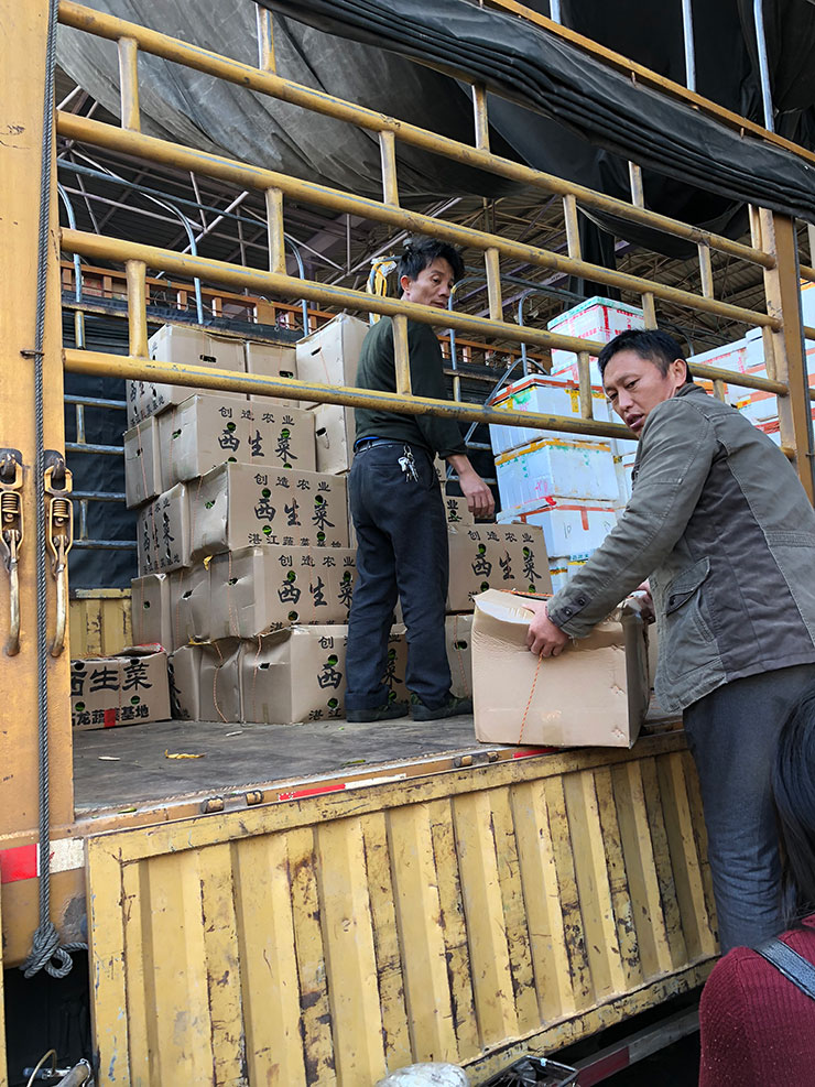 122cc太阳集成游戏(中国)有限公司官网