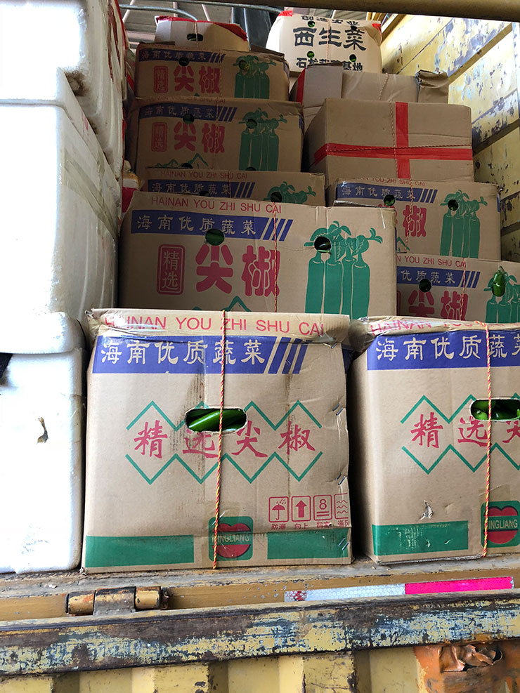 122cc太阳集成游戏(中国)有限公司官网