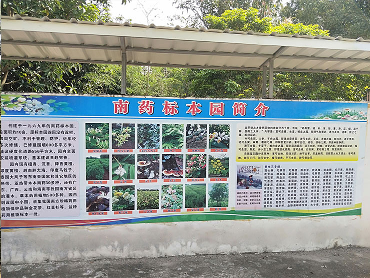 122cc太阳集成游戏(中国)有限公司官网