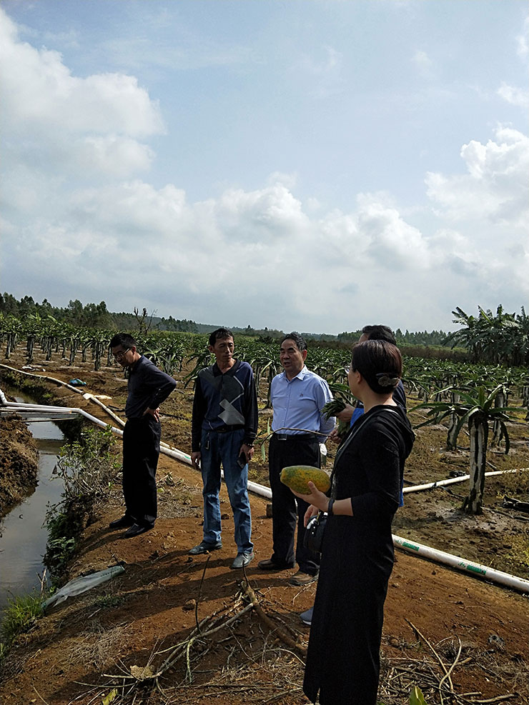 122cc太阳集成游戏(中国)有限公司官网