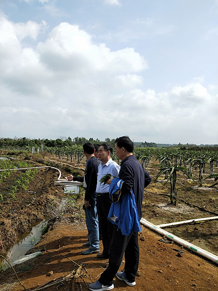 122cc太阳集成游戏(中国)有限公司官网