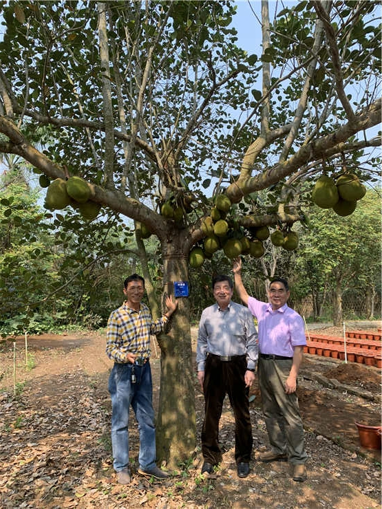 122cc太阳集成游戏(中国)有限公司官网