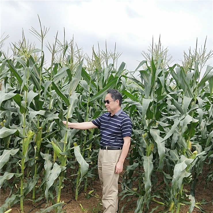 122cc太阳集成游戏(中国)有限公司官网