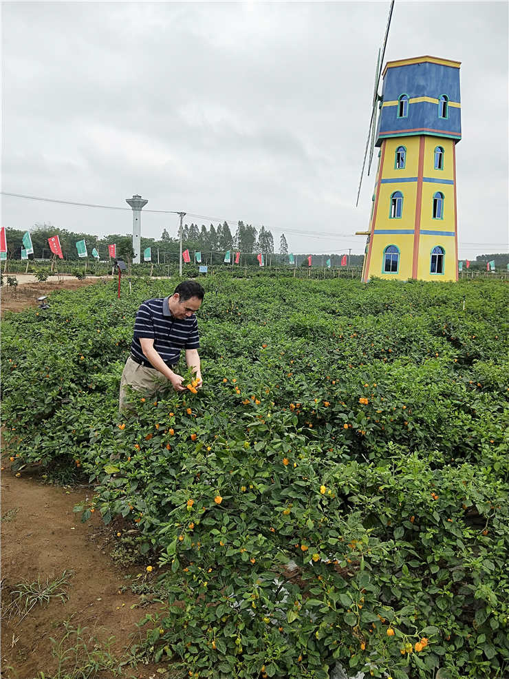 122cc太阳集成游戏(中国)有限公司官网