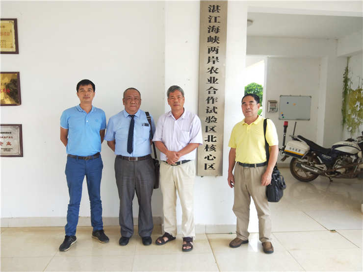 122cc太阳集成游戏(中国)有限公司官网