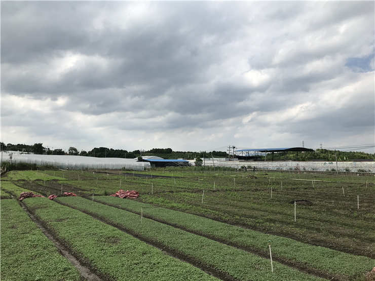 122cc太阳集成游戏(中国)有限公司官网