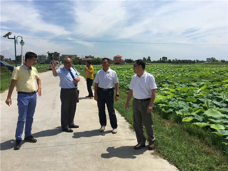 122cc太阳集成游戏(中国)有限公司官网