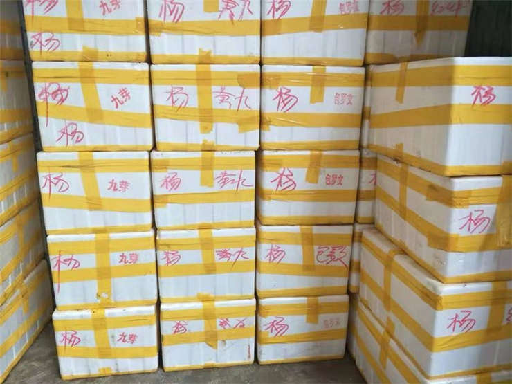 122cc太阳集成游戏(中国)有限公司官网