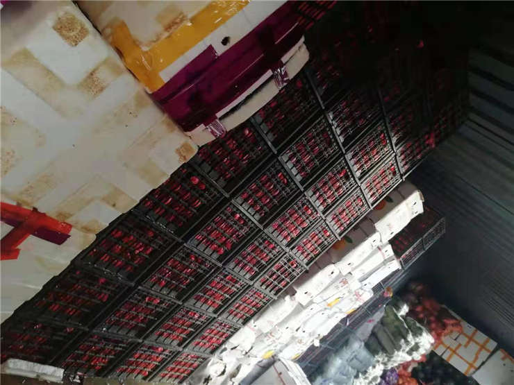 122cc太阳集成游戏(中国)有限公司官网