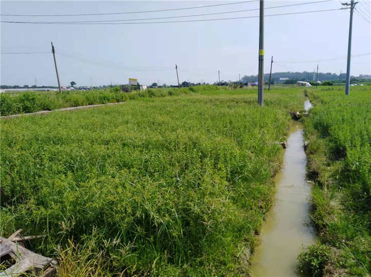 122cc太阳集成游戏(中国)有限公司官网