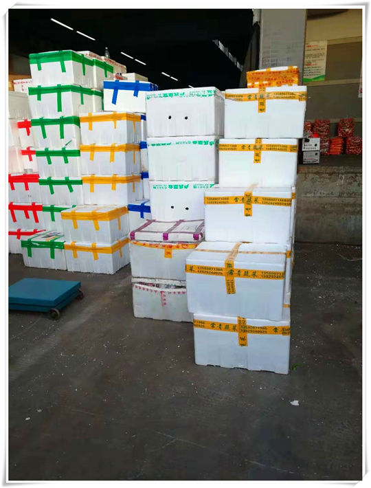 122cc太阳集成游戏(中国)有限公司官网