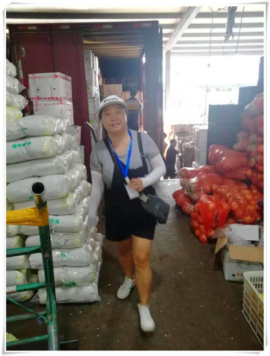 122cc太阳集成游戏(中国)有限公司官网