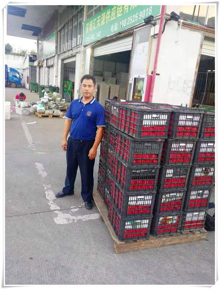 122cc太阳集成游戏(中国)有限公司官网