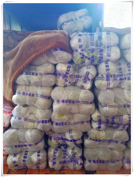 122cc太阳集成游戏(中国)有限公司官网