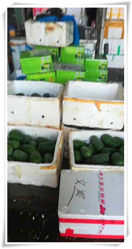 122cc太阳集成游戏(中国)有限公司官网