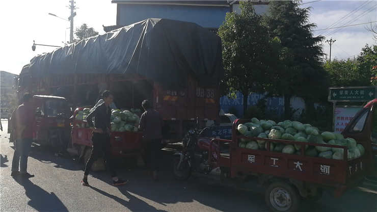 122cc太阳集成游戏(中国)有限公司官网