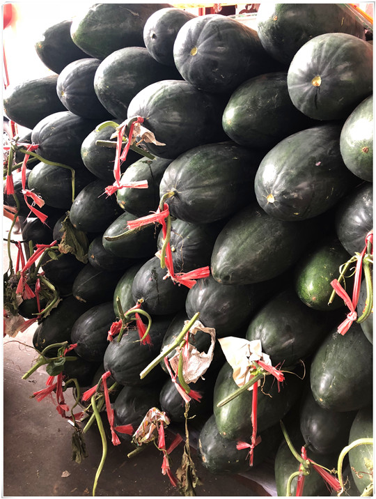 122cc太阳集成游戏(中国)有限公司官网