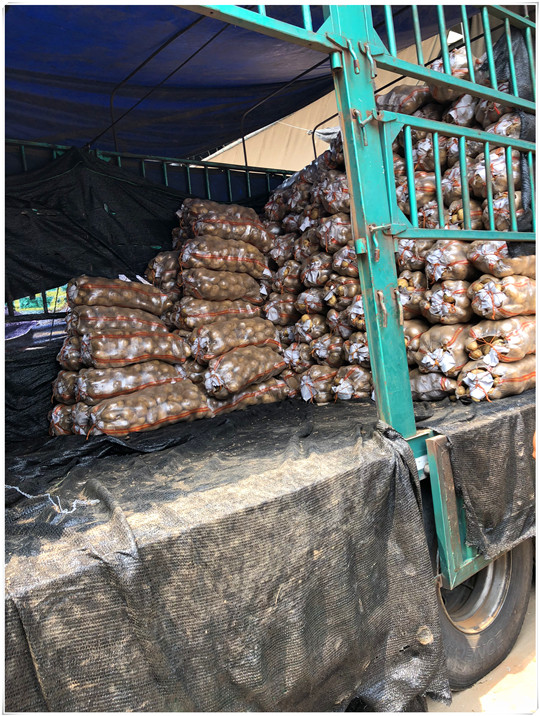 122cc太阳集成游戏(中国)有限公司官网