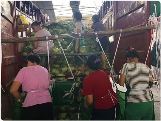 122cc太阳集成游戏(中国)有限公司官网