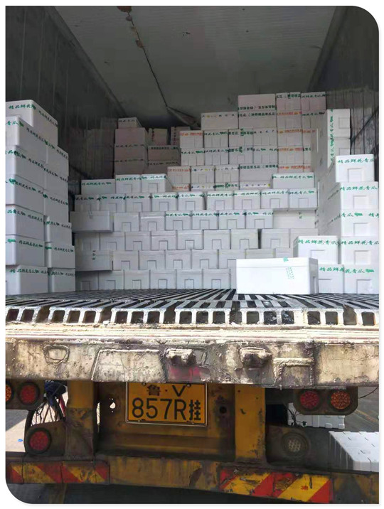 122cc太阳集成游戏(中国)有限公司官网