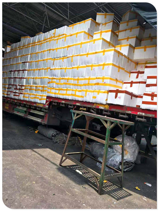 122cc太阳集成游戏(中国)有限公司官网