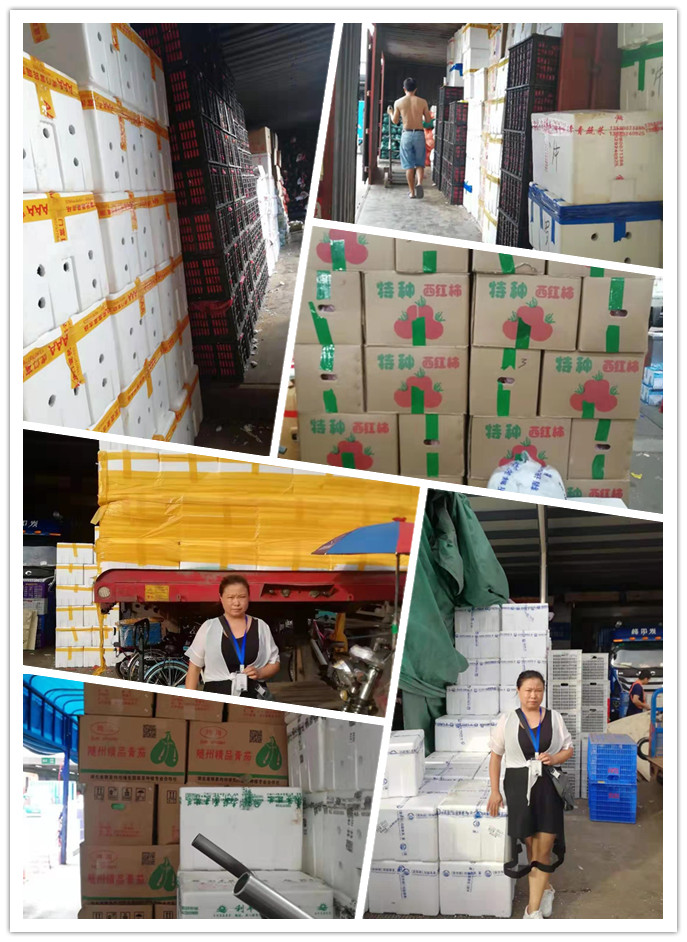 122cc太阳集成游戏(中国)有限公司官网