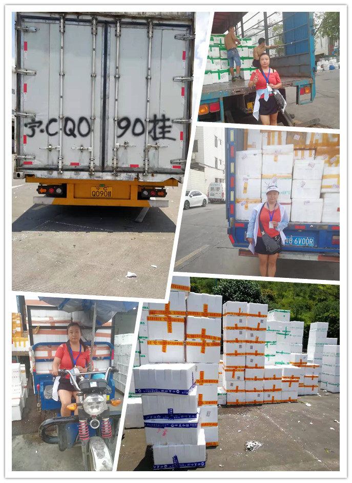 122cc太阳集成游戏(中国)有限公司官网