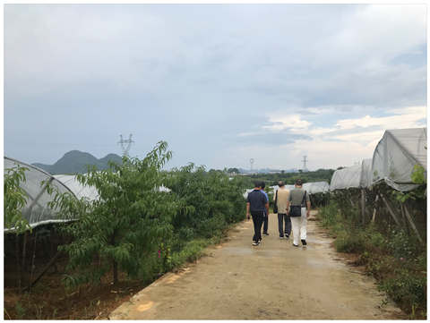 122cc太阳集成游戏(中国)有限公司官网