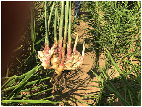 122cc太阳集成游戏(中国)有限公司官网