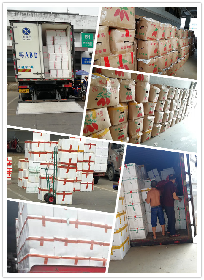 122cc太阳集成游戏(中国)有限公司官网