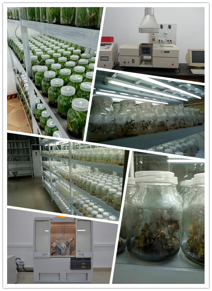 122cc太阳集成游戏(中国)有限公司官网