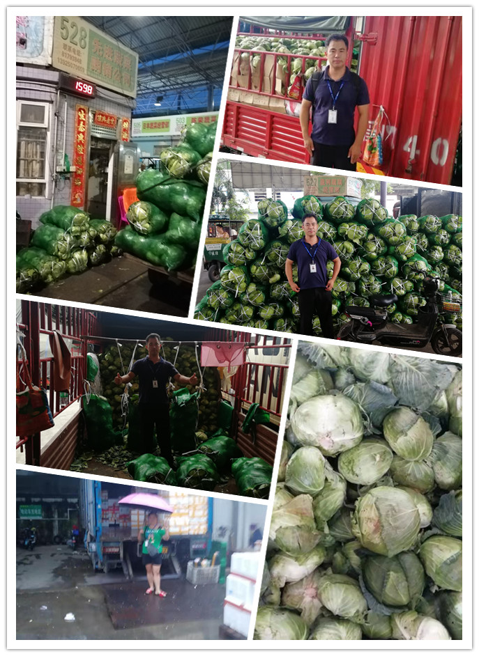 122cc太阳集成游戏(中国)有限公司官网