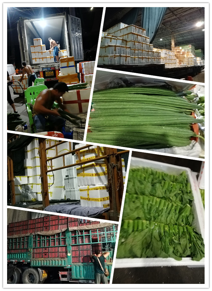 122cc太阳集成游戏(中国)有限公司官网