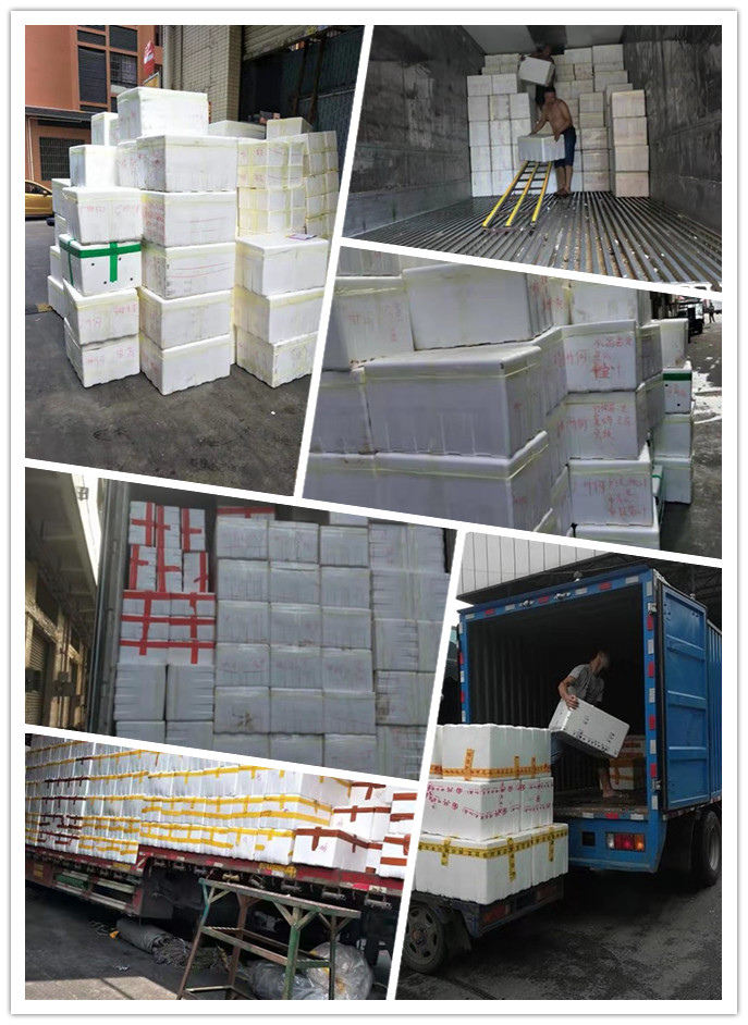 122cc太阳集成游戏(中国)有限公司官网