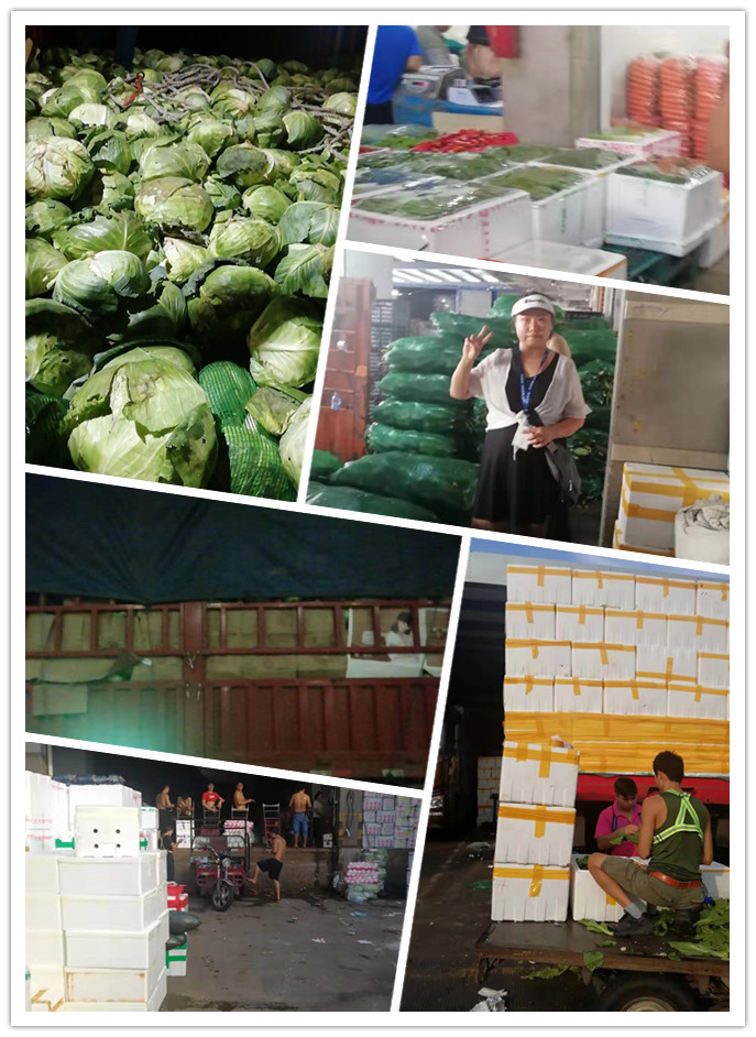 122cc太阳集成游戏(中国)有限公司官网