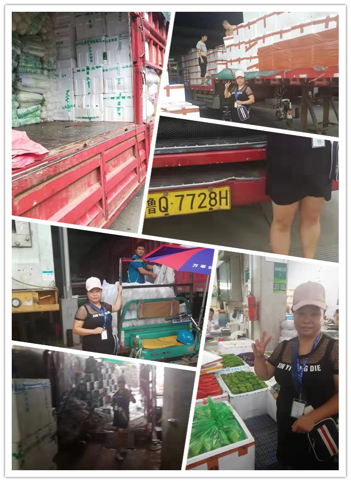 122cc太阳集成游戏(中国)有限公司官网