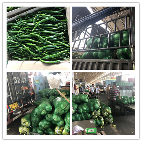 122cc太阳集成游戏(中国)有限公司官网