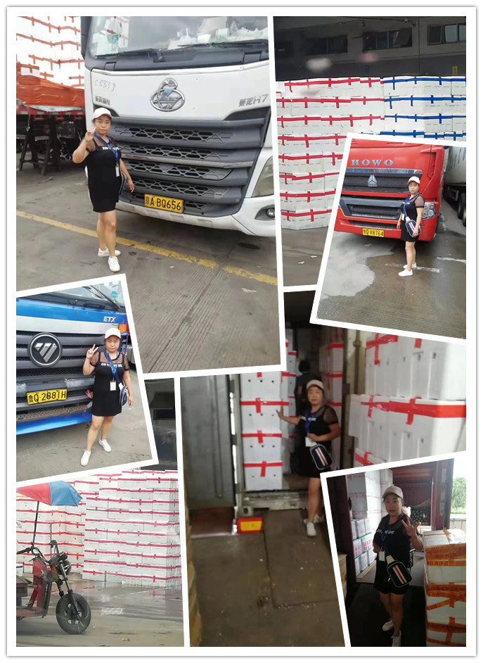 122cc太阳集成游戏(中国)有限公司官网